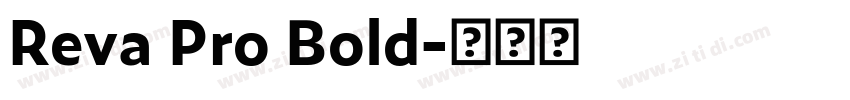 Reva Pro Bold字体转换